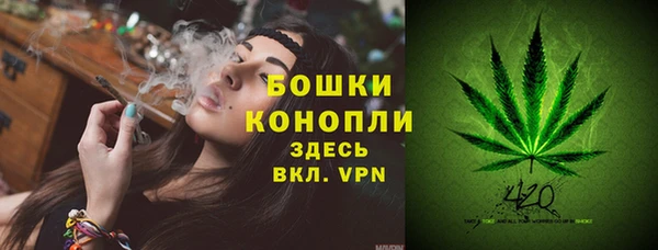 дурь Мегион