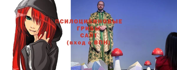 дурь Мегион