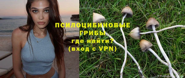 дурь Мегион