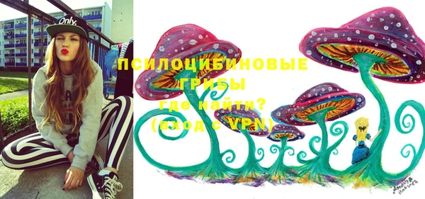 дурь Мегион