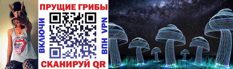 OMG ссылки  цена   Липецк  Галлюциногенные грибы Psilocybe 